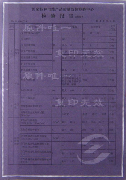 檢驗報告