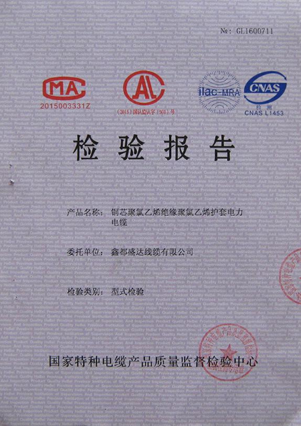 檢驗(yàn)報(bào)告