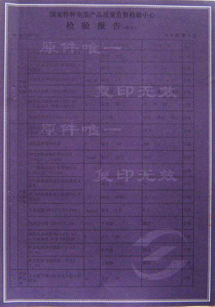 檢驗(yàn)報(bào)告