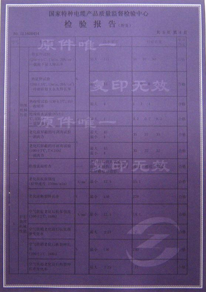 檢驗(yàn)報告