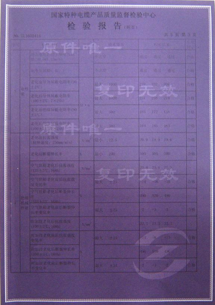 檢驗(yàn)報告