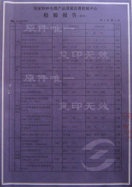 檢驗(yàn)報告