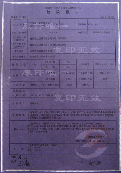 檢驗(yàn)報告