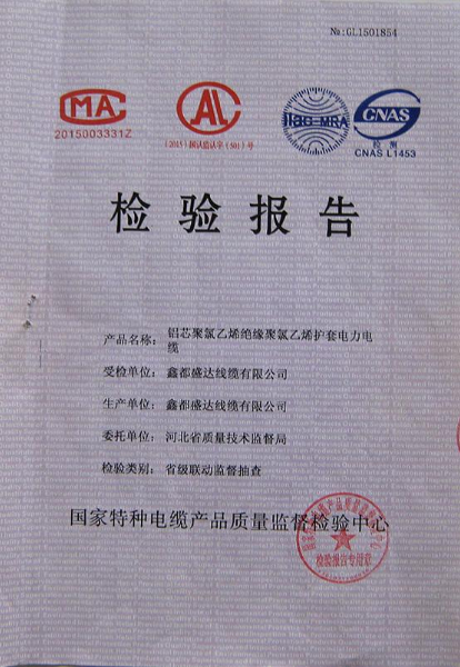 檢驗(yàn)報告